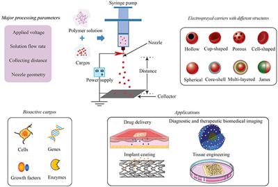 Electrospraying: Possibilities and Challenges of Engineering Carriers for Biomedical Applications—A Mini Review